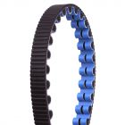 Gates Carbon Drive CDX, 122 Zähne, blau / schwarz, Riemen